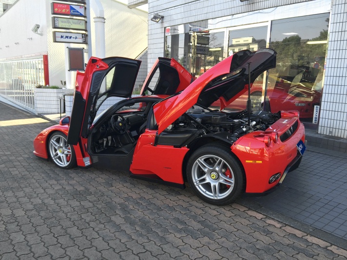 Ferrari Enzo 1/10縦47×横20×高さ12com中古価格40万円 Ferrari Enzo 1/10縦47×横20×高さ12com中古価格40万円 ミニカー